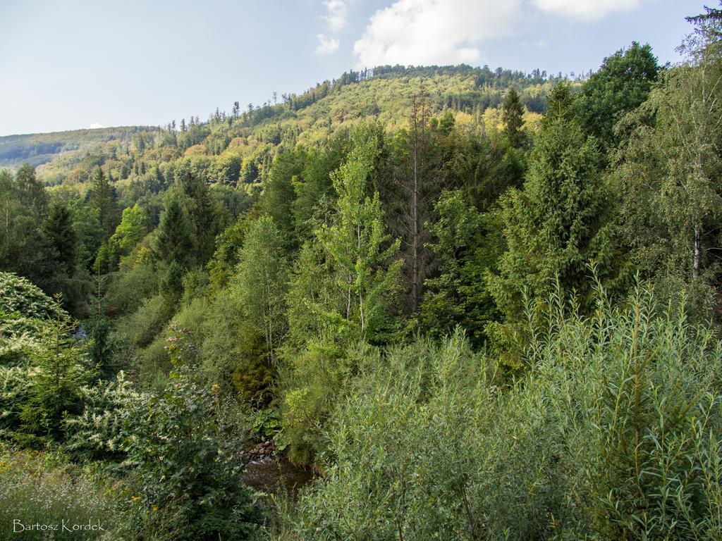 Mala Osada Domki Z Jacuzzi Przy Gondoli Щирк Экстерьер фото